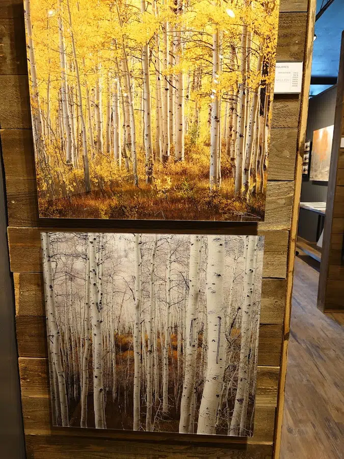 McMillen Fine Art Photography